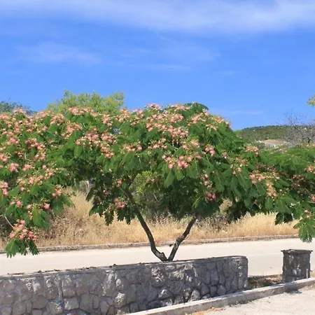 With A Parking Space Sali, Dugi Otok - 8172 Apartment