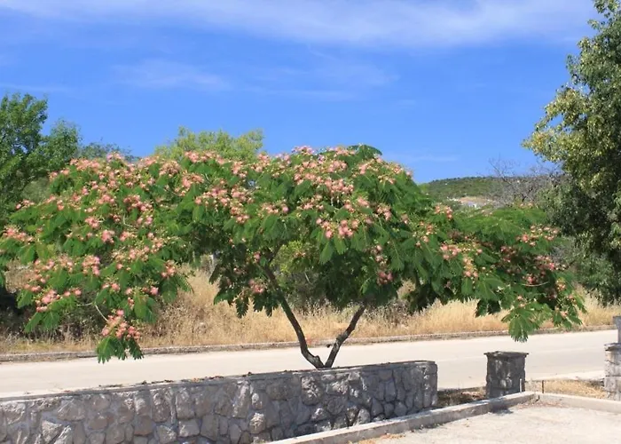 With A Parking Space Sali, Dugi Otok - 8172 아파트